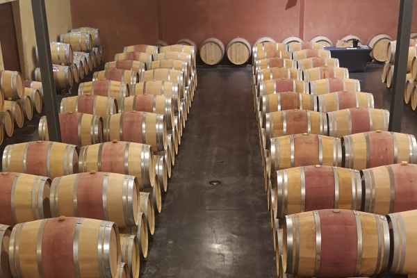 Chai à barriques Médoc