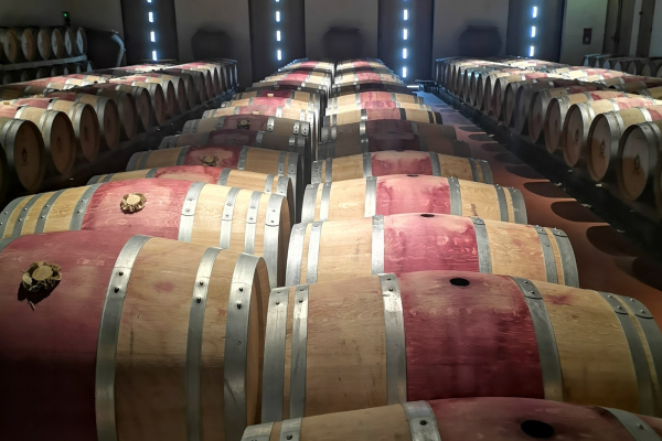 Chai à barriques Margaux