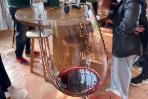Tourisme Margaux cru classé 1855