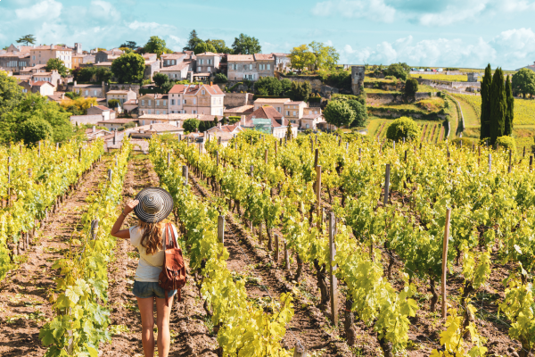 Vignobles Saint-Emilion Pomerol