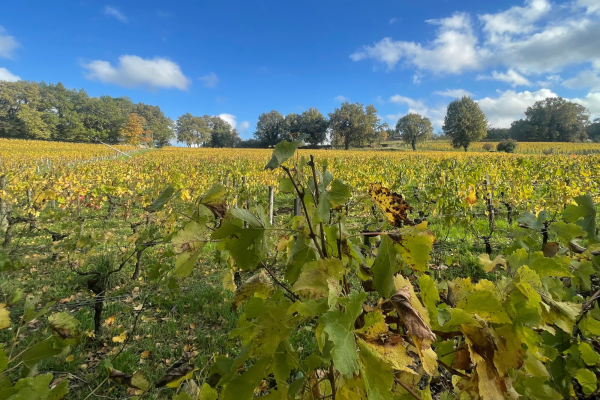 Domaine Pomerol