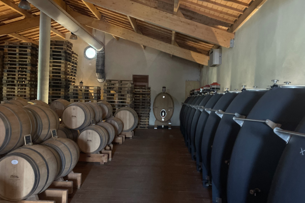 Chai à barriques Pomerol