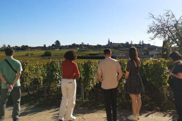 Vignoble Saint-Emilion