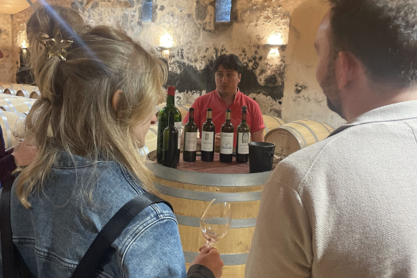 Dégustation vin Saint-Emilion