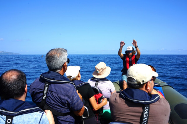 guide touristique Açores, excursion en bateau, expérience touristique