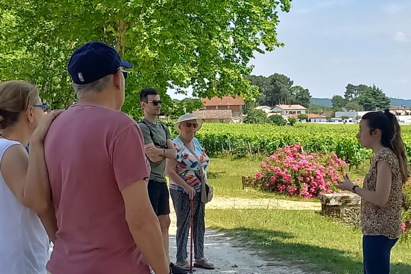 Visite Pessac-Léognan Vert Bordeaux