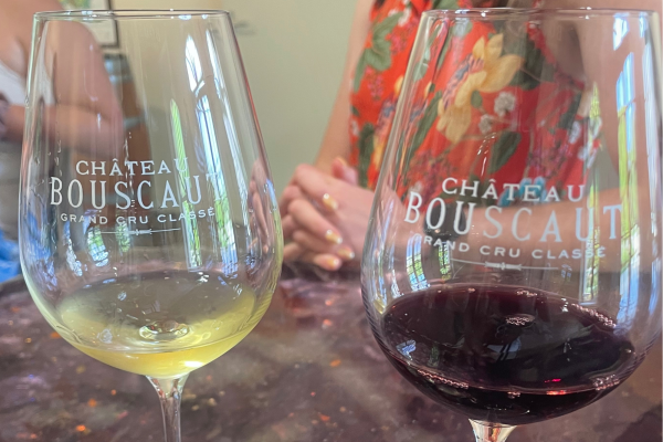 Dégustation vin rouge vin blanc Pessac-Léognan Vert Bordeaux