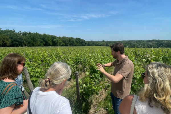 Domaine Entre-deux-Mers Vert Bordeaux