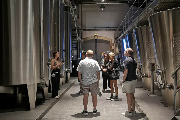 Visite Entre-deux-Mers Vert Bordeaux