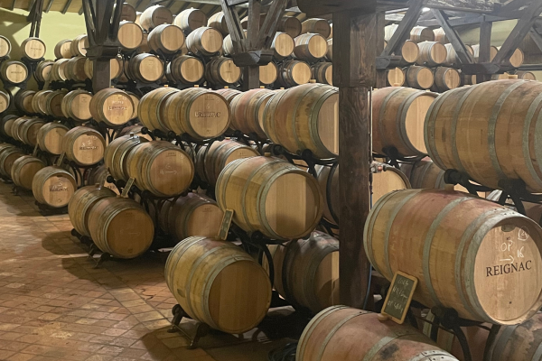 Chai à barriques Entre-deux-Mers Vert Bordeaux