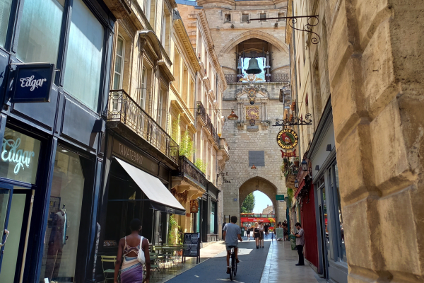 Visite historique Bordeaux Vert Bordeaux