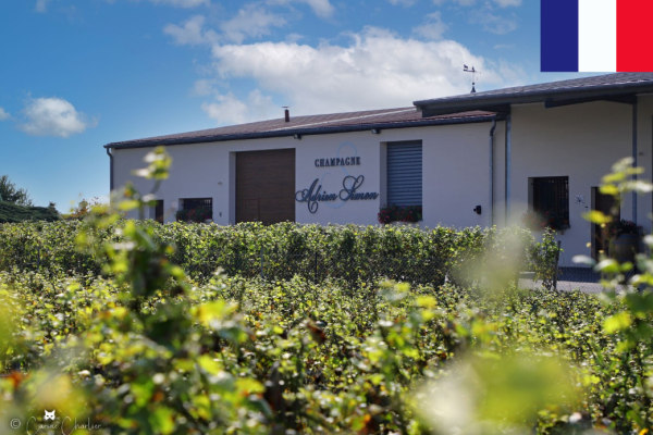 Le domaine Champagne Adrien Simon