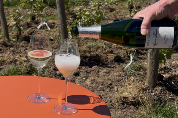 Dégustation de Champagne