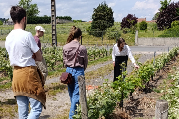 Visite dans les vignes