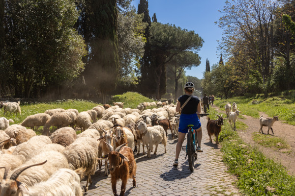 Via Appia 