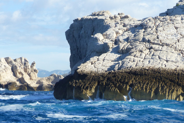 CRIQUE SAUVAGE DES ILES DU FRIOUL