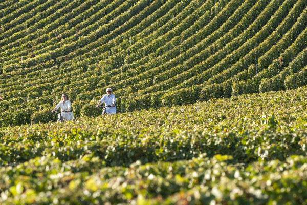Au coeur du vignoble champenois