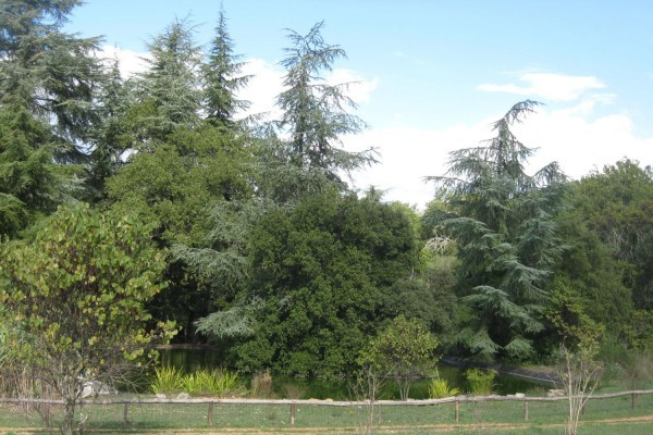 découverte nature - parc des cèdres