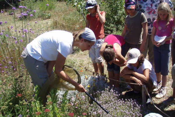Jardin des papillons