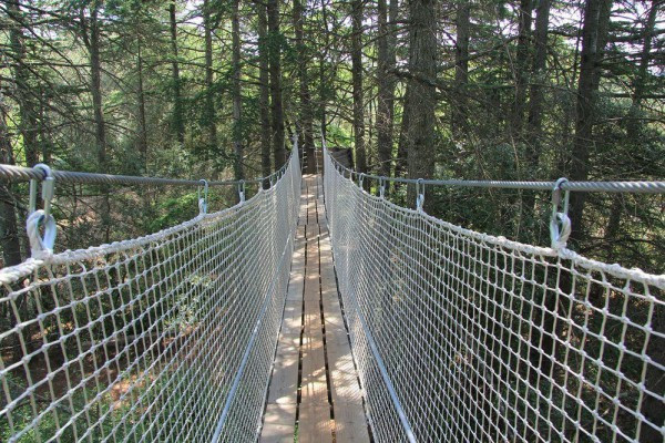 les filets de la découverte