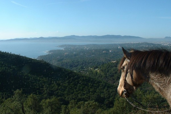 Les 3 Fers - Balade à cheval vue sur la mediterranée