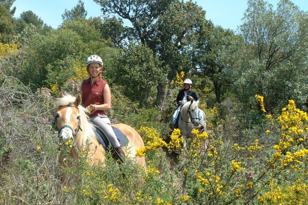 Les 3 Fers - Balade à cheval autour des mimosas