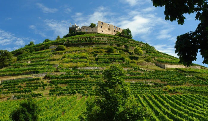 Veranstaltungen Badenweiler Veranstaltungen Badenweiler