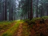 Freizeitaktivitäten im Fichtelgebirge