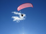 Flugsport