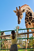 Zoo in Baden-Württemberg