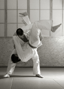 Kampfkust Aikido in Berlin lernen