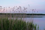 Freizeitaktivitäten in Mecklenburg-Vorpommern