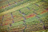 Freizeitaktiviäten in Rheinöand-Pfalz
