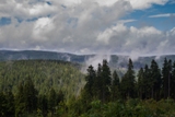 Thüringer Wald