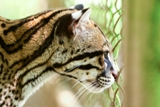 Zoos und Tierparks