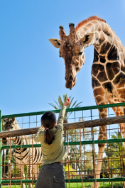 Zoo in Essen